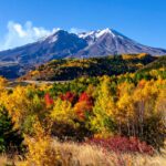 Auburn Personal Injury Attorneys image