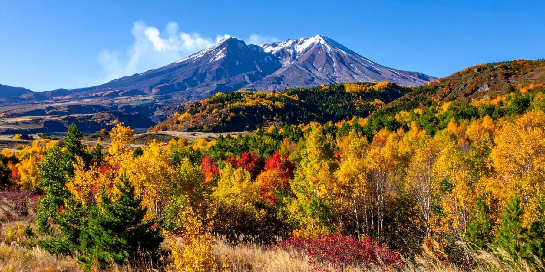 Auburn Personal Injury Attorneys image