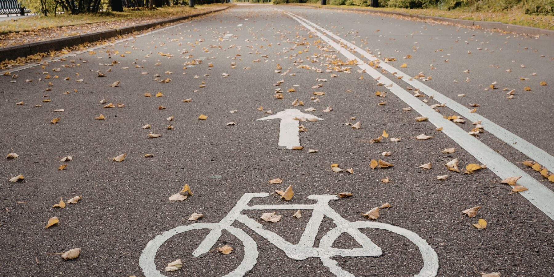 Bicycle Accident Lawyers in Tacoma image