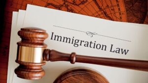 Holding Immigration Agencies Accountable With Ritchie-Reiersen Injury and Immigration Attorneys