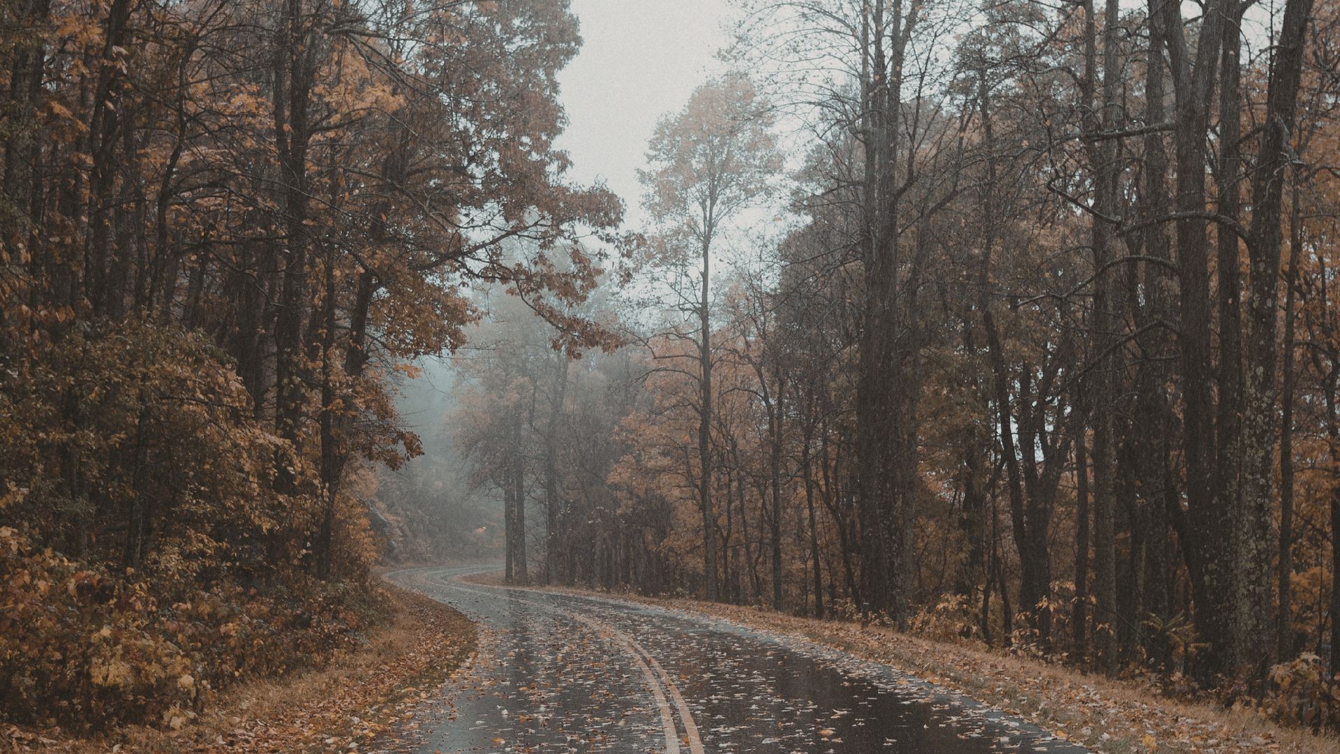Rain Soaked Roads and Reduced Visibility Increase Motorcycle Crashes in Tacoma image