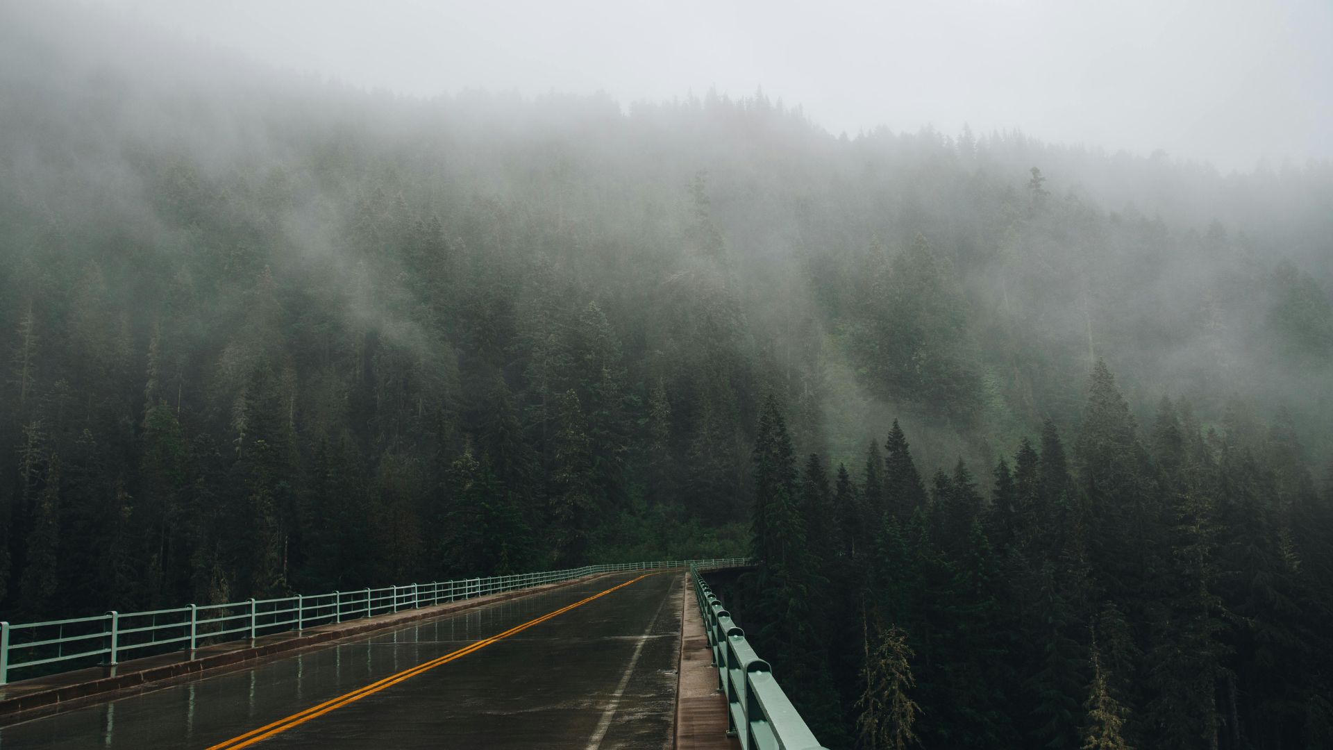 What to Do After a Car Accident in Spokane, Washington image