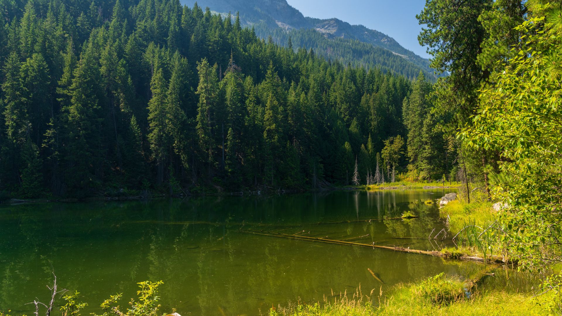 Why Local Experience Matters in Wenatchee Personal Injury Cases image