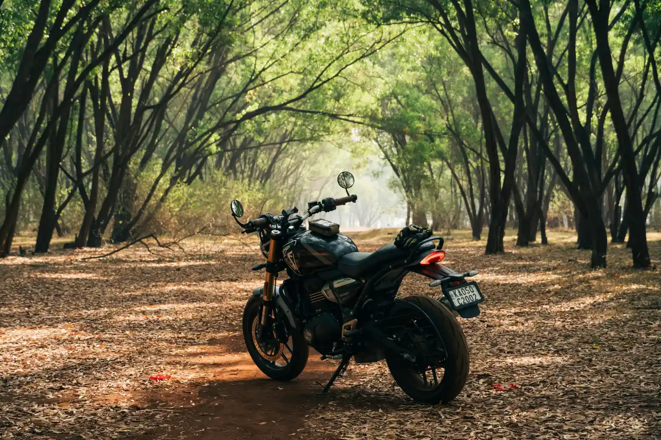 motorcycle under trees