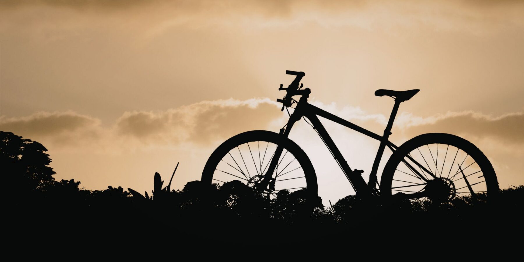 Bicycle Accident Lawyers in Mesa image