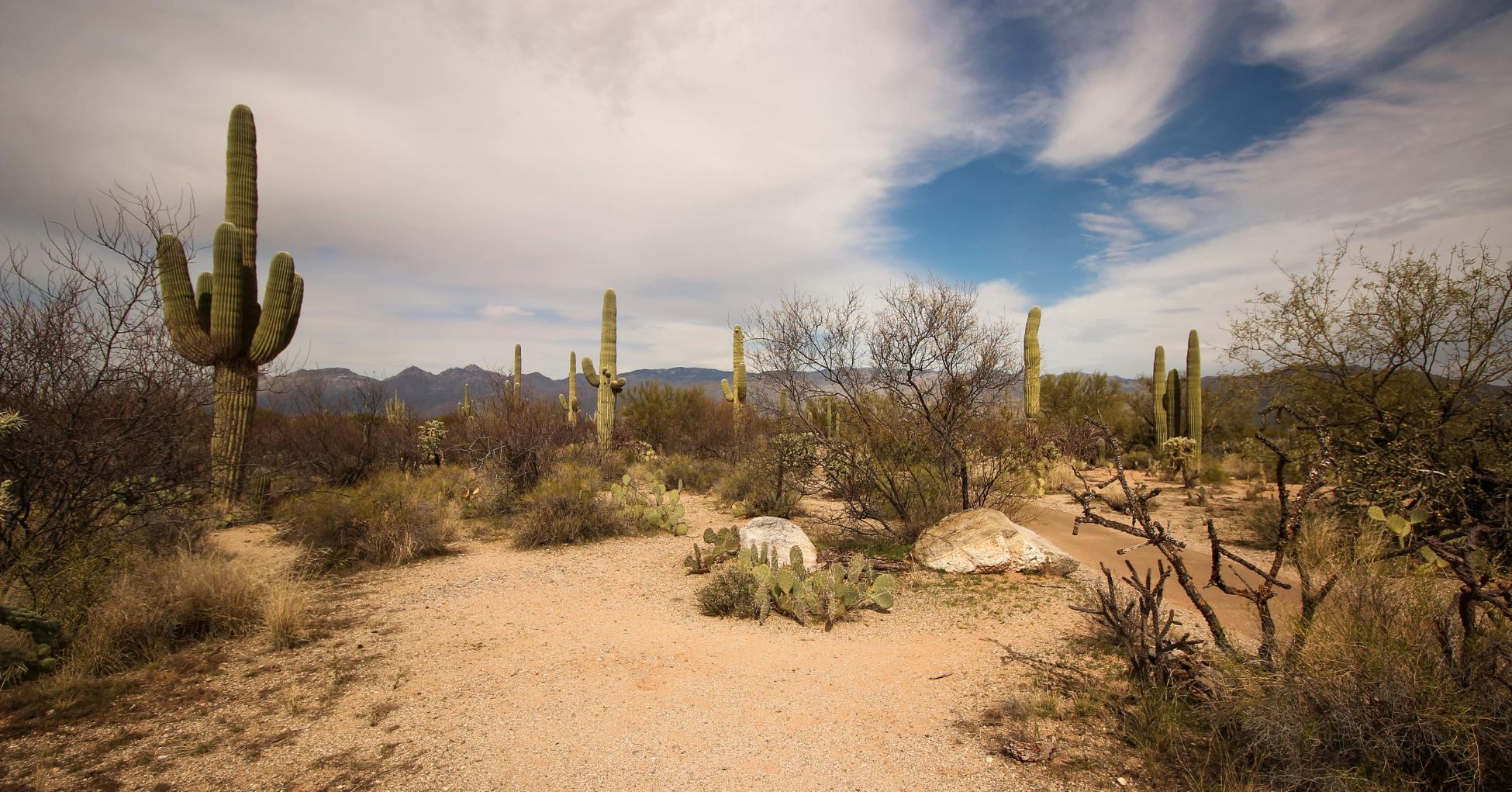 Compensation Available After Rideshare Accidents in Mesa, Arizona image