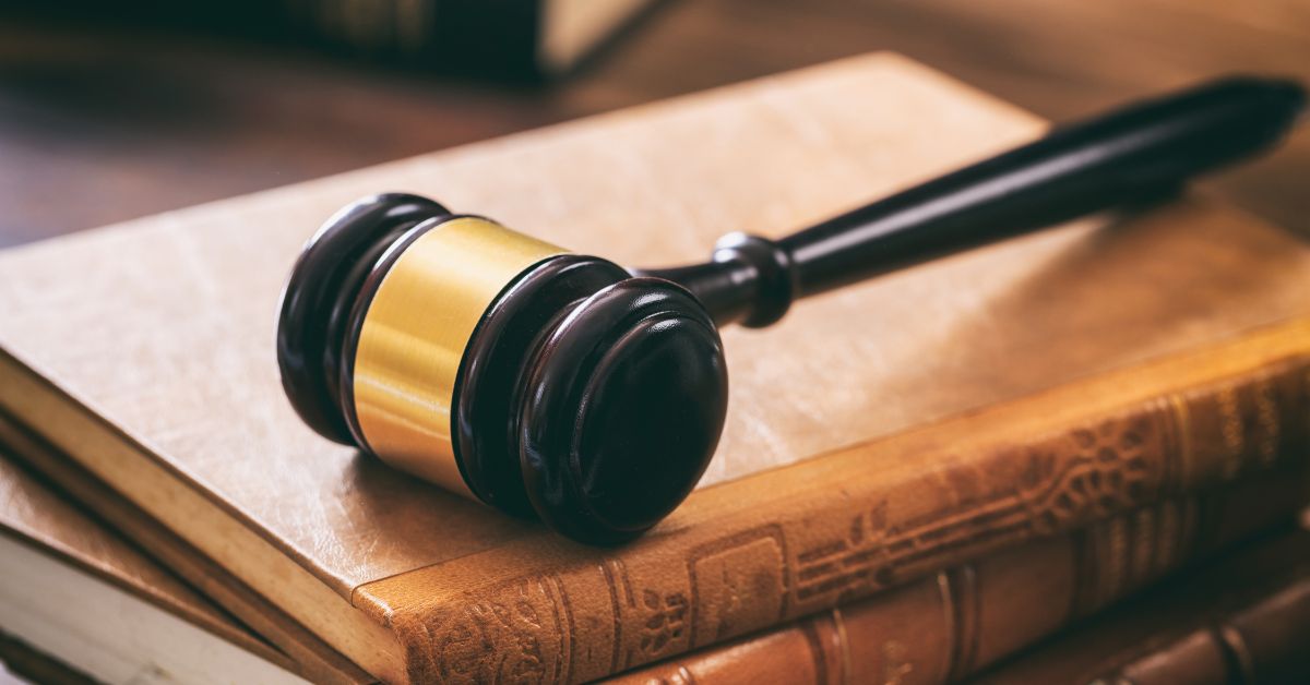 Dog Bite Lawyers in Portland Analyze Immediate Injuries After an Attack