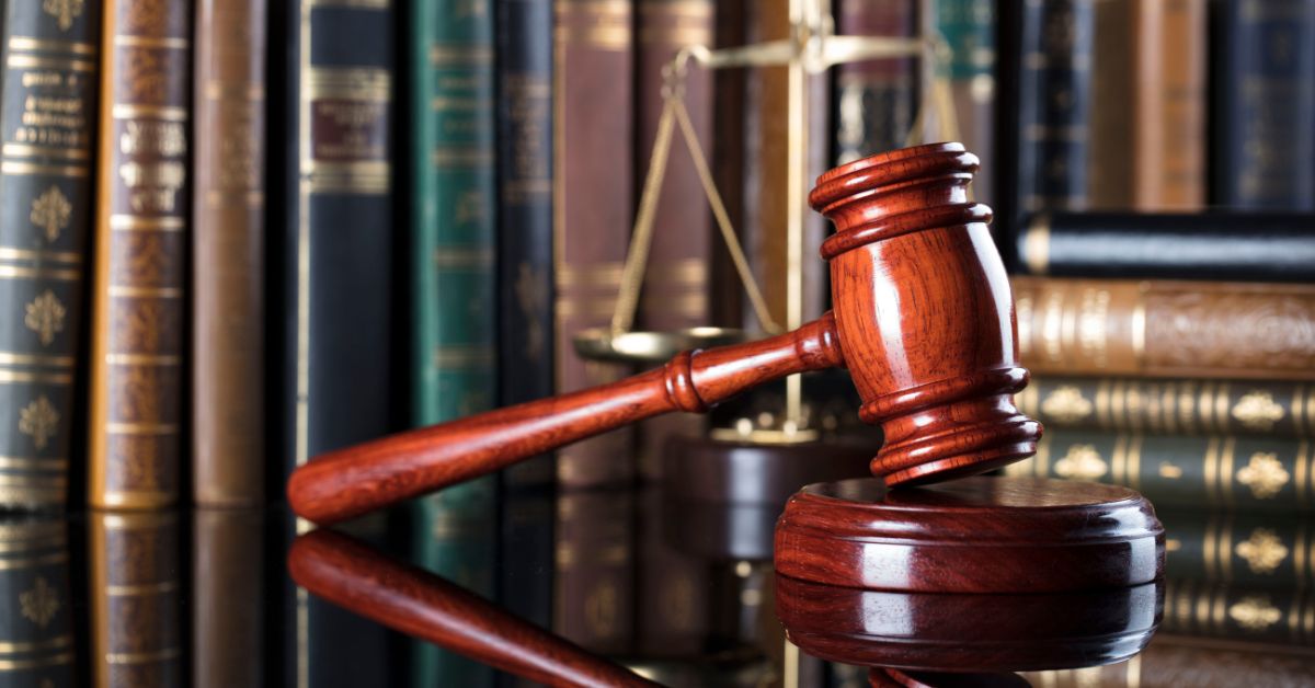 Evidence That Is Used to Prove Responsibility After a Dog Attack