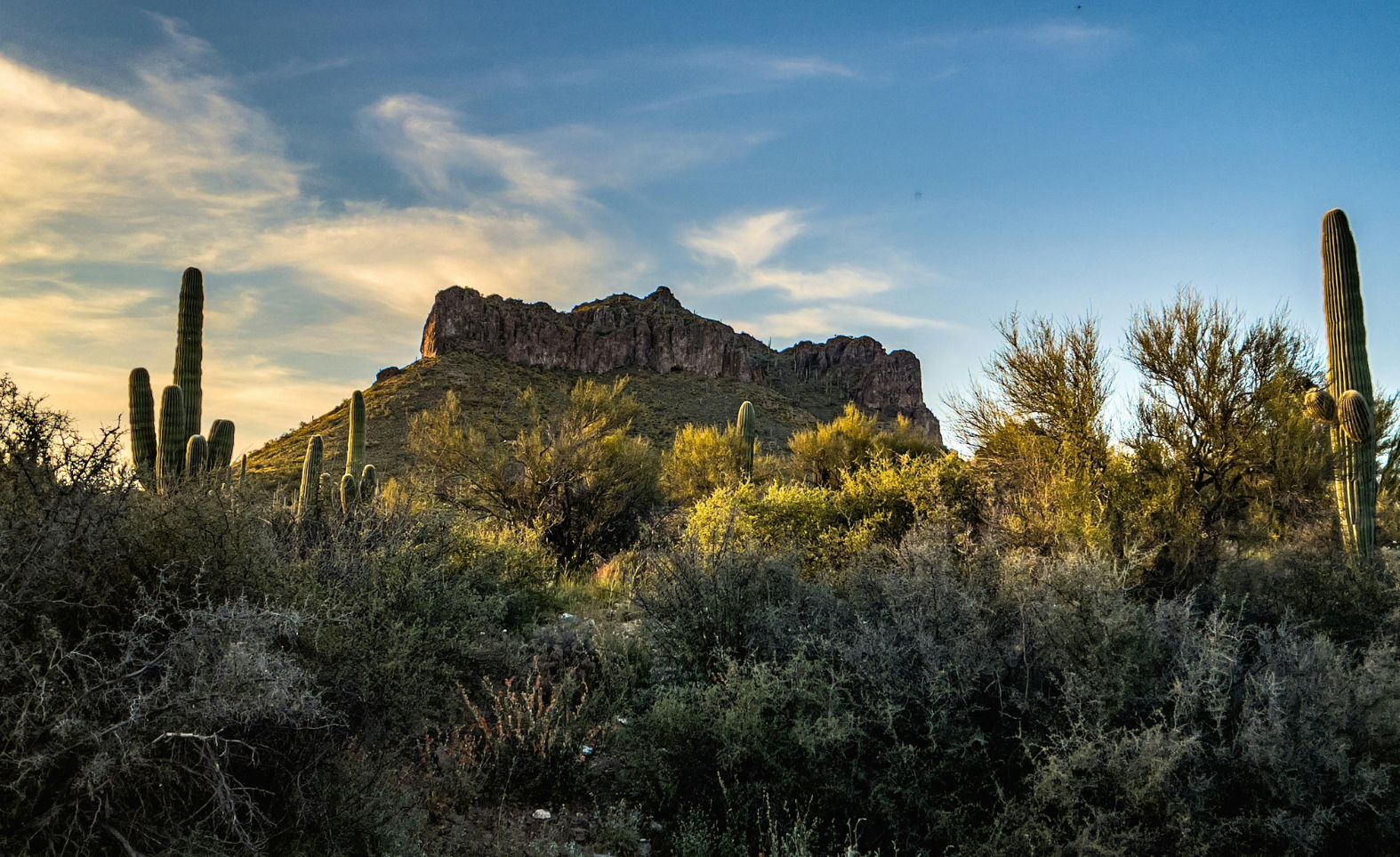 How Ritchie-Reiersen Injury & Immigration Attorneys Build Strong Bus Accident Cases in Mesa images