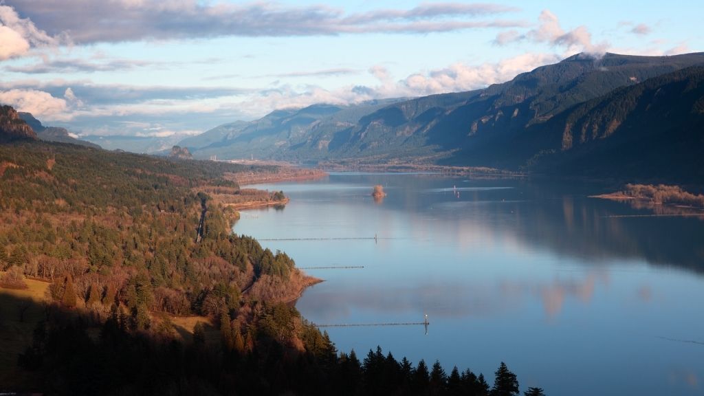 Privacy Policy image