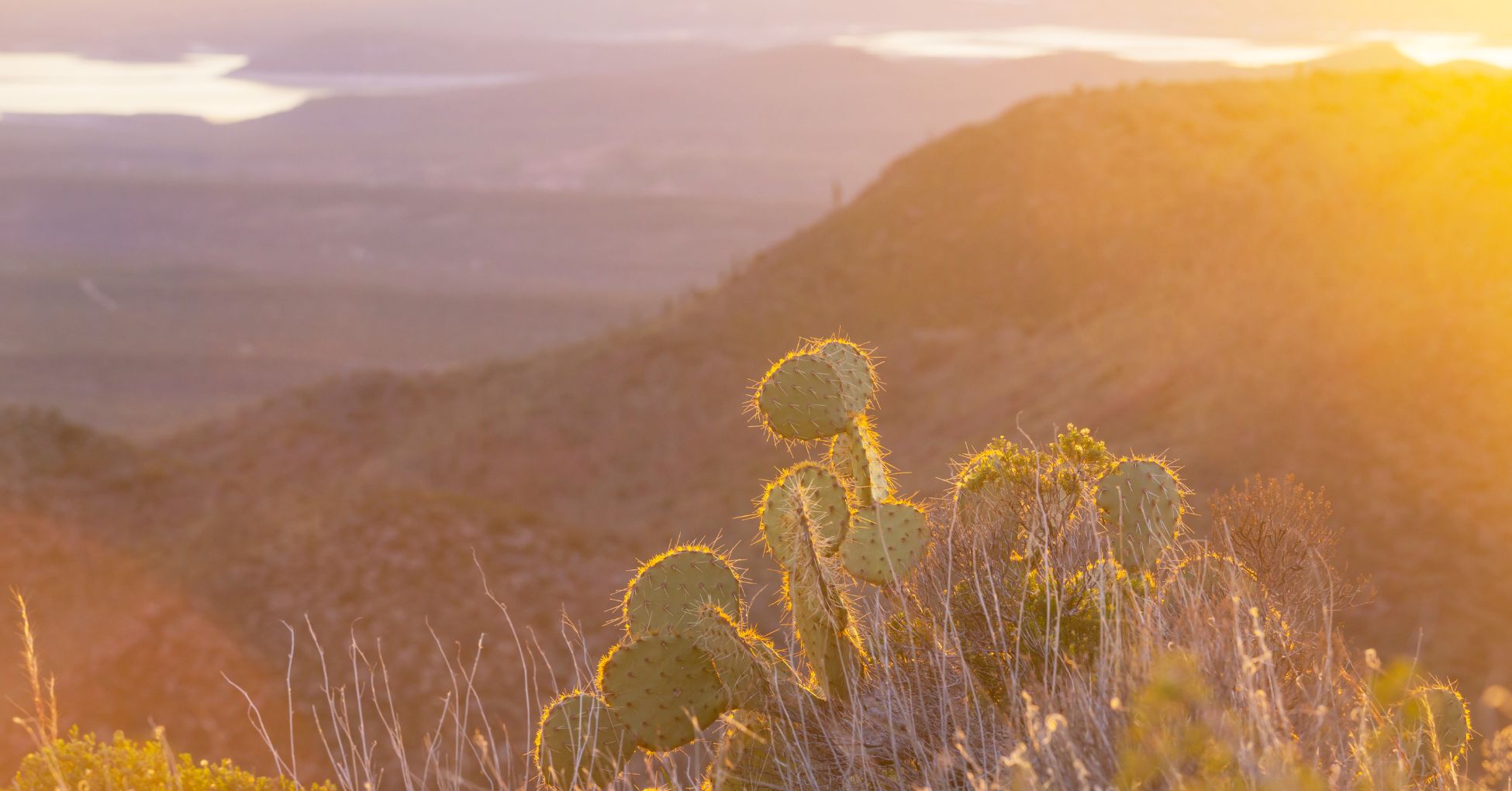 What To Do Immediately After A Car Accident in Mesa, Arizona image