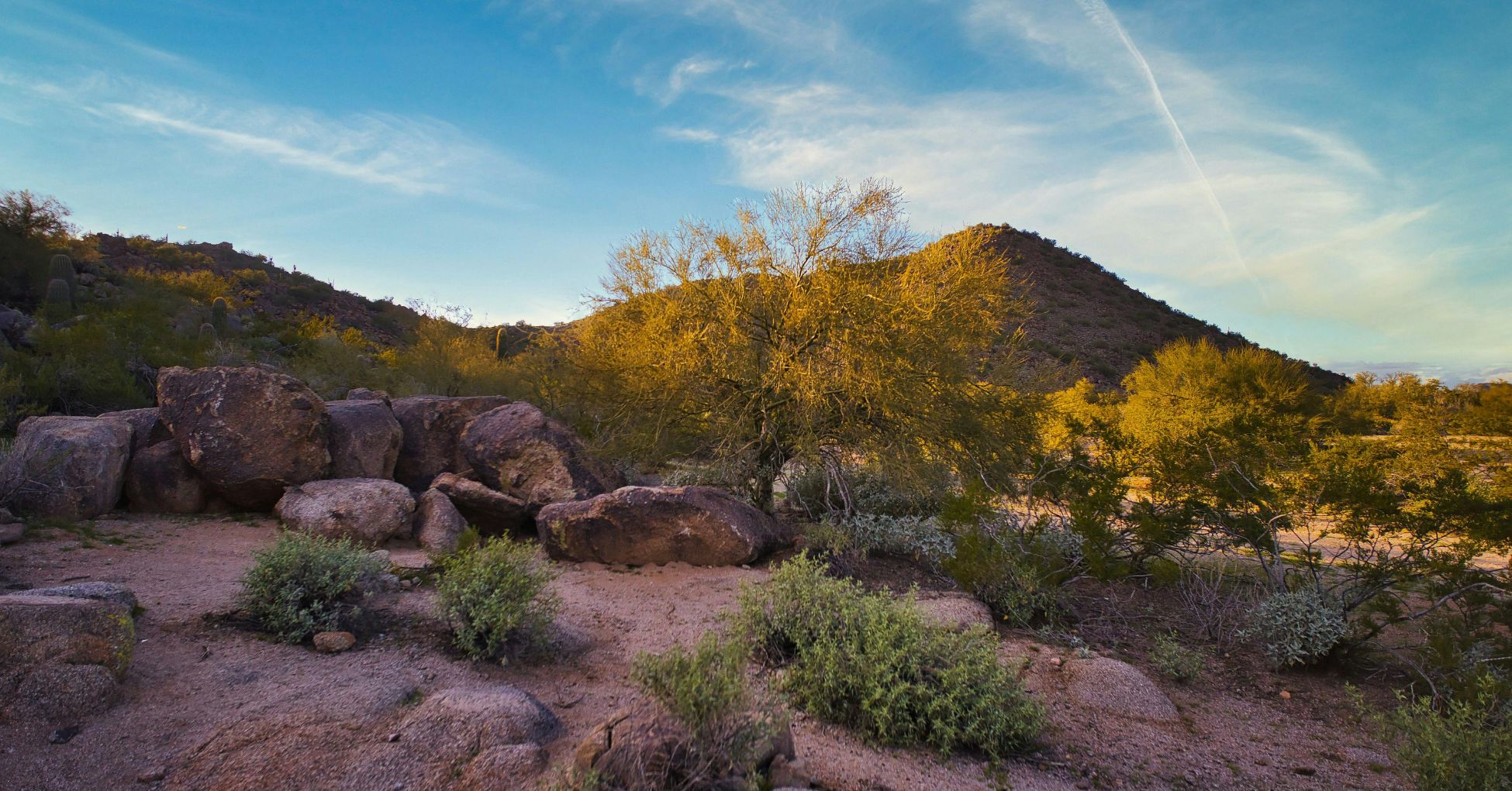 When To Contact Bicycle Accident Lawyers In Mesa After A Serious Crash image