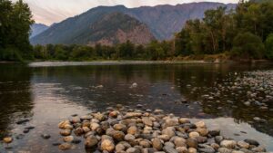 Your Wenatchee Car Crash Attorneys