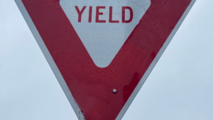 Who May Be Liable in a South Lake Union Bicycle Crash