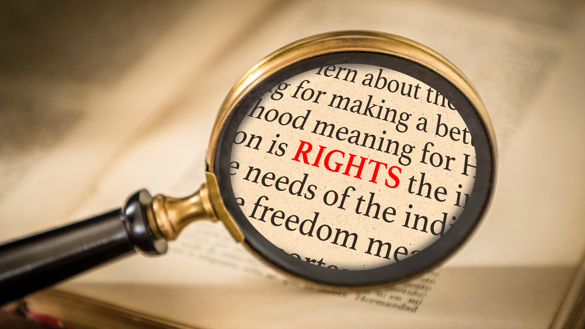 Protecting Your Rights After A King County Commercial Vehicle Accident